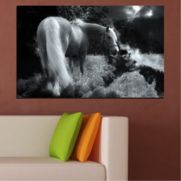 Animal, Nature, Horse, Meadow, Grass, Field, Brown, Head, Farm, Pasture, Ranch, Riding, Bridle, Rural, Horses, Mammal, Stallion, Equine, Equestrian, Mane, Pony