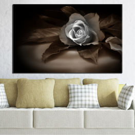Flowers, Flower, Flora, Rose, Leaf, Retro, Love, Plant, Blossom, Romance, Gift, Bloom, Pink, Roses, Petals, Floral, Petal, Valentine, Close, Shrub