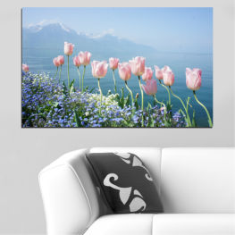 Flowers, Nature, Spring, Flower, Garden, Bouquet, Summer, Flora, Colorful, Tulip, Plant, Purple, Blossom, Park, Field, Bloom, Floral, Tulips, Grow, Dutch