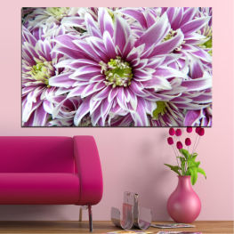 Flowers, Spring, Flower, Daisy, Garden, Bouquet, Summer, Flora, Plant, Purple, Blossom, Bloom, Pink, Petals, Floral, Petal, Botany, Vascular plant, Botanical, Close