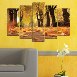 Landscape, Spring, Forest, Tree, Trees, Wood, Colorful, Autumn, Leaf, Leaves, Outdoors, Park, Orange, Yellow, Alley, Fall, Woody plant, Season, Golden, Vascular plant, Foliage, Maple, Birch