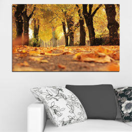 Landscape, Spring, Forest, Tree, Trees, Wood, Colorful, Autumn, Leaf, Leaves, Outdoors, Park, Orange, Yellow, Alley, Fall, Woody plant, Season, Golden, Vascular plant, Foliage, Maple, Birch