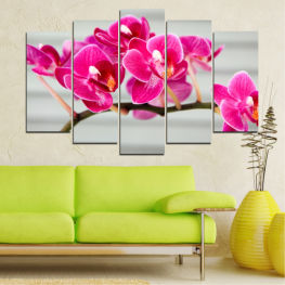 Flowers, Orchid, Spring, Flower, Garden, Bouquet, Flora, Natural, Decoration, Leaf, Plant, Purple, Blossom, Romance, Gift, Bloom, Pink, Petals, Floral, Petal