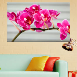 Flowers, Orchid, Spring, Flower, Garden, Bouquet, Flora, Natural, Decoration, Leaf, Plant, Purple, Blossom, Romance, Gift, Bloom, Pink, Petals, Floral, Petal