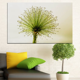 Spring, Flower, Light, Night, Star, Graphic, Plant, Design, Fireworks, Black, Holiday, Herb, Season, Explosion, Celebration, Pattern, Texture, Year, Dandelion