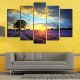 Пейзаж, Пролет, Залез, Лято, Слънчева светлина, Небе, Поляна, Хоризонт, Звезда, Трева, Растение, Поле, Облаци, Облак, Сезон, Ферма, Държава, Селски, Провинция, Небесно тяло