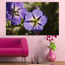 Flowers, Spring, Flower, Garden, Flora, Natural, Plant, Purple, Blossom, Violet, Bloom, Herb, Pink, Blooming, Floral, Petal, Botany, Vascular plant, Organism, Geranium, Viola