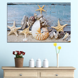 Sea, Animal, Beach, Water, Coast, Summer, Ocean, Sand, Tropical, Travel, Holiday, Vacation, Shell, Shore, Conch, Gastropod, Mollusk, Invertebrate, Marine, Barnacle