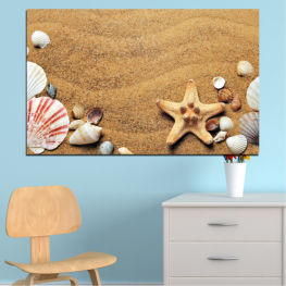 Sea, Animal, Beach, Water, Coast, Summer, Ocean, Star, Sand, Fish, Tropical, Stone, Travel, Holiday, Starfish, Vacation, Shell, Seashell, Invertebrate, Echinoderm, Marine