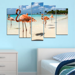 Landscape, Beach, Water, Coast, Summer, Ocean, Paradise, Island, Sand, Flamingo, Tropical, Travel, Vacation, Bird, Pink, Shore, Wading bird, Aquatic bird