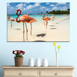 Landscape, Beach, Water, Coast, Summer, Ocean, Paradise, Island, Sand, Flamingo, Tropical, Travel, Vacation, Bird, Pink, Shore, Wading bird, Aquatic bird