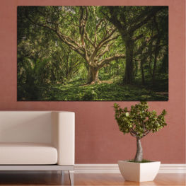 Пейзаж, Гора, Дърво, Дървета, Лято, Дърво, Есен, Листо, Листа, Трева, Растение, Живот, Парк, Падане, Заобикаляща среда, Дървесни растения, Сезон, Клон, На открито, Съдово растение