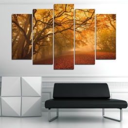 Landscape, Sunset, Forest, Tree, Trees, Autumn, Leaf, Star, Leaves, Winter, Park, Orange, Fall, Season, Scenic, Branch, Lighting, Apparatus, Celestial body, Scene