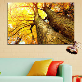 Пейзаж, Гора, Дърво, Дървета, Дърво, Есен, Листо, Листа, Растение, Парк, Жълт, Падане, Дървесни растения, Сезон, Клон, На открито, Съдово растение, Зеленина, Сцена