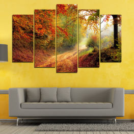 Пейзаж, Гора, Дърво, Дървета, Цветен, Есен, Листо, Листа, Растение, Парк, Портокал, Път, Жълт, Падане, Дървесни растения, Сезон, Клон, Съдово растение, Зеленина, Пейзаж, Храст, Клен