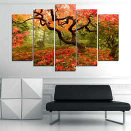 Landscape, Forest, Tree, Trees, Autumn, Leaf, Leaves, Plant, Park, Orange, Yellow, Fall, Woody plant, Season, Branch, Vascular plant, Foliage, Maple, Coral tree