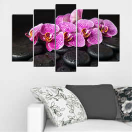 Flowers, Orchid, Spring, Flower, Garden, Relax, Flora, Natural, Bamboo, Spa, Fresh, Plant, Blossom, Tropical, Stone, Bloom, Pink, Floral, Pebble, Petal, Botany, Botanical