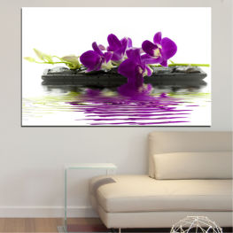 Flowers, Orchid, Spring, Water, Flower, Garden, Bouquet, Flora, Lilac, Natural, Bamboo, Decoration, Spa, Tulip, Plant, Purple, Blossom, Delicate, Bloom, Pink, Floral, Petal, Botany