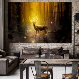 Animal, Wildlife, Forest, Trees, Animals, Grass, Park, Wild, Wilderness, Deer, Reindeer, Brown, Horns, Male, Mammal, Buck, Placental, Vertebrate, Chordate, Antlers, Hunting