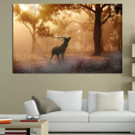 Landscape, Wildlife, Forest, Tree, Trees, Snow, Winter, Outdoors, Park, Wild, Season, Deer, Frost, Cold, Mammal, Buck, Placental, Vertebrate, Chordate