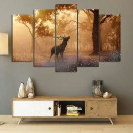 Пейзаж, Дивата природа, Гора, Дърво, Дървета, Сняг, Зима, На открито, Парк, Див, Сезон, Елен, Скреж, Студ, Бозайник, Долар, Плацентарен, Гръбначно, Хордови