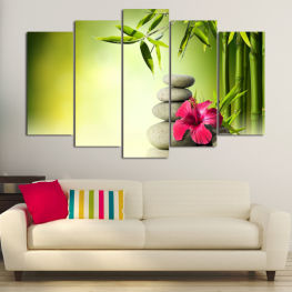 Spring, Water, Flower, Tree, Garden, Summer, Flora, Light, Natural, Bamboo, Wood, Stones, Peace, Decoration, Spa, Leaf, Plant, Life, Blossom, Relaxation, Harmony, Bright, Bloom, Pink, Season, Floral, Branch, Botany, Material