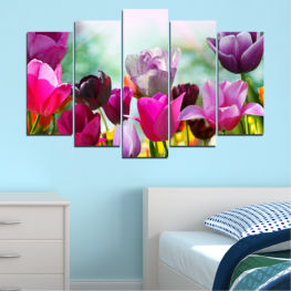 Flowers, Spring, Flower, Garden, Bouquet, Flora, Colorful, Leaf, Tulip, Plant, Purple, Blossom, Bloom, Pink, Floral, Seasonal, Petal, Tulips, Valentine, Easter