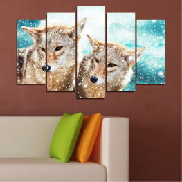 Животни, Дивата природа, Животни, Вълк, Лъв, Сняг, Див, Пустиня, Кучешки, Сафари, Южно, Бозайник, Котешки, Хищник, Месояден, Ловец, Опасно, Койот, Среда на живот