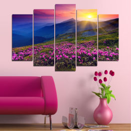Flowers, Landscape, Nature, Sunrise, Spring, Flower, Sun, Mountain, Summer, Meadow, Sunny, Horizon, Grass, Plant, Field, Clouds, Woody plant, Vascular plant, Rural, Countryside, Shrub, Heath