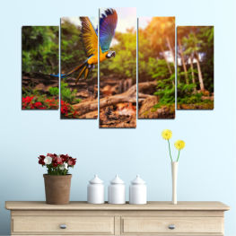 Nature, Spring, Flower, Birds, Garden, Summer, Flora, Sunflower, Colorful, Leaf, Plant, Color, Blossom, Parrot, Yellow, Bright, Bird, Floral, Petal, Close, Macaw