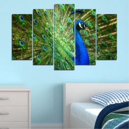 Πουλιά, Φως, Γραφικός, Παγώνι, Χρώμα, Σχέδιο, Φτερό, Ευφυής, Πρότυπο, Υφή, Φτερά, Ψηφιακό, Ταπετσαρία, Αρσενικός, Απεικόνιση, Παγώνι, Φασιανός, Παιχνίδι πουλί, Ουρά, Φτερά