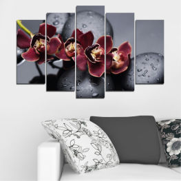 Flowers, Orchid, Water, Flower, Rose, Stones, Decoration, Drops, Fresh, Plant, Glass, Holiday, Gift, Fruit, Pink, Berry, Celebration, Floral, Petal, Perfume, Edible fruit, Toiletry, Currant