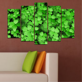 Flowers, Spring, Garden, Bouquet, Flora, Luck, Natural, Leaf, Fresh, Plant, Clover, Vegetable, Herb, Pattern, Vascular plant, Texture, Close, Foliage, Common wood sorrel, Common duckweed, Duckweed, Aquatic plant, Sorrel