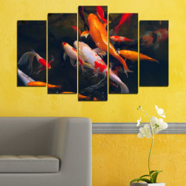 Sea, Water, Ocean, Fish, Food, Orange, Gold, Pond, Swim, Swimming, Underwater, Marine, Aquatic, Goldfish, Aquarium, Carp, Tank, Seafood