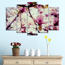 Flowers, Spring, Flower, Tree, Garden, Flora, Natural, Leaf, Plant, Blossom, Bloom, Pink, Woody plant, Season, Blooming, Floral, Branch, Petal, Vascular plant, Magnolia