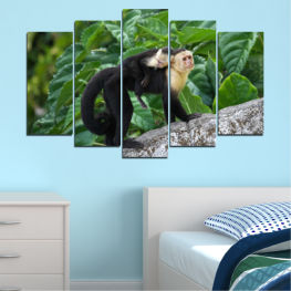 Animal, Nature, Wildlife, Tree, Animals, Natural, Wild, Monkey, Face, Cute, Mammal, Jungle, Furry, Primate, Monkeys, Primates, Creature, Rare, Orangutan