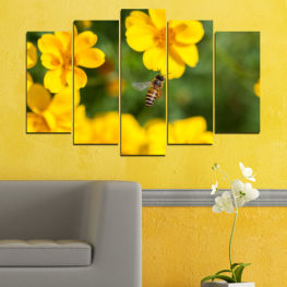 Flowers, Nature, Spring, Flower, Garden, Summer, Flora, Natural, Leaf, Plant, Blossom, Field, Yellow, Bloom, Herb, Floral, Petal, Vascular plant, Buttercup, Close, Cowslip