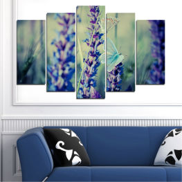 Flowers, Nature, Spring, Flower, Garden, Summer, Butterfly, Lavender, Flora, Natural, Plant, Purple, Color, Field, Bloom, Herb, Woody plant, Floral, Botany, Vascular plant, Shrub, Sage