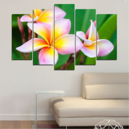 Flowers, Spring, Flower, Bouquet, Summer, Exotic, Flora, Natural, Island, Plant, Blossom, Plumeria, Tropical, Yellow, Bloom, Pink, Woody plant, Floral, Petal, Vascular plant, Shrub