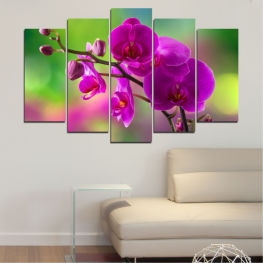 Flowers, Orchid, Spring, Flower, Garden, Bouquet, Flora, Lilac, Leaf, Plant, Purple, Color, Blossom, Bloom, Herb, Pink, Floral, Petal, Botany, Vascular plant, Weed