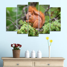 Animal, Wildlife, Forest, Tree, Animals, Hair, Wild, Squirrel, Monkey, Brown, Funny, Cute, Mammal, Jungle, Rodent, Furry, Primate, Guinea pig, Hairy, Nose