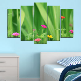 Flowers, Nature, Spring, Flower, Garden, Summer, Natural, Meadow, Leaf, Grass, Tulip, Plant, Field, Bright, Environment, Herb, Season, Close, Growth, Lawn, Dandelion, East wind