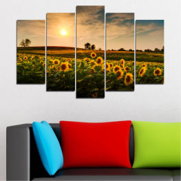 Landscape, Nature, Flower, Sun, Sunset, Summer, Sunflower, Meadow, Sunny, Grass, Plant, Field, Yellow, Herb, Vascular plant, Farm, Country, Rural, Countryside, Agriculture