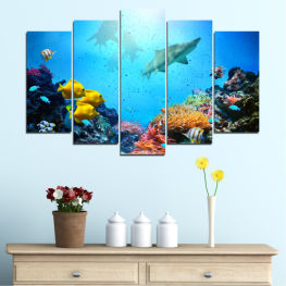 Sea, Animal, Water, Exotic, Ocean, Coral, Fish, Tropical, Travel, Scuba, Dive, Saltwater, Natural elevation, Ridge, Coral reef, Reef, Aquatic, Diving, Marine, Underwater