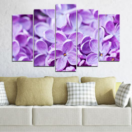 Flowers, Nature, Spring, Flower, Lilac, Colorful, Graphic, Plant, Purple, Color, Blossom, Design, Futuristic, Pink, Pattern, Floral, Petal, Vibrant, Digital, Wallpaper, Fractal