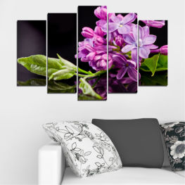 Flowers, Spring, Flower, Garden, Bouquet, Summer, Flora, Lilac, Reflection, Leaf, Plant, Purple, Color, Blossom, Gift, Bloom, Pink, Floral, Petal, Botany, Hyacinth
