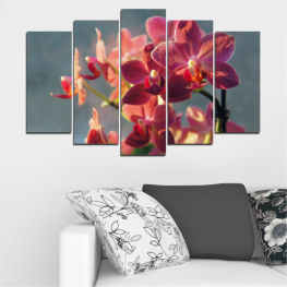 Flowers, Orchid, Spring, Flower, Garden, Bouquet, Flora, Natural, Colorful, Leaf, Plant, Blossom, Yellow, Bloom, Herb, Pink, Floral, Petal, Vascular plant, Close, Butterfly weed, Milkweed