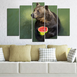 Животни, Дивата природа, Вода, Животни, Зъби, Диня, Парк, Див, Мечка, Кафяв, Сафари, Глава, Сладък, Бозайник, Хищник, Месояден, Опасно, Космат, Кафява мечка