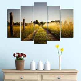 Landscape, Nature, Spring, Tree, Summer, Meadow, Horizon, Grass, Plant, Field, Cloud, Road, Land, Season, Farm, Country, Wheat, Rural, Countryside, Agriculture, Atmosphere