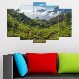 Landscape, Nature, Forest, Tree, Mountain, Trees, Summer, Highland, Sky, Natural, Meadow, Mountains, River, Snow, Field, Travel, Vacation, Rock, Valley, Outdoor, Peak, Peaks, Scenery, Hill, Range, Countryside